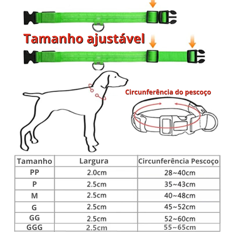 Coleira PetLigth